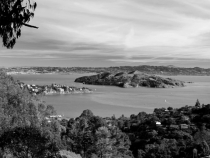 Angel Island and the tip of Belvedere from the Morning Sun Trail