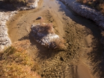 Salt Creek