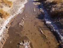 Salt Creek