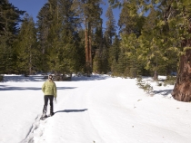 Lisa snowshoeing at Black Springs