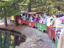 On the train at Traintown