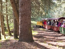 On the train at Traintown