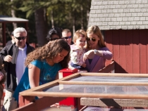 A stop at the petting zoo along the way
