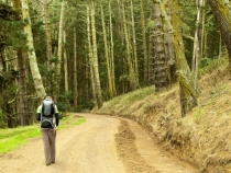 Sam and Lilia walking through the trees on the way down to Kirby Cove