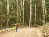 Lisa walking through the trees on the way down to Kirby Cove