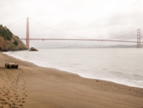 View of the Golden Gate Bridge from Kirby Cove