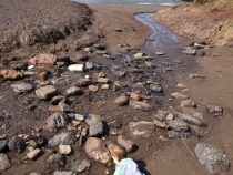 Lilia enjoying the creek at Tennessee Valley Beach