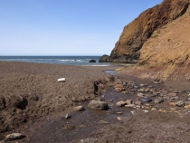 Lilia enjoying the creek at Tennessee Valley Beach