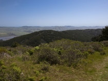 Inverness Ridge with Tomales Bay on the left