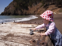 Captivated by some salty-tasting rocks