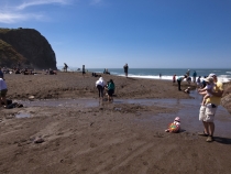 Tennessee Valley Beach