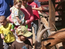 Enjoying the petting zoo at Train Town