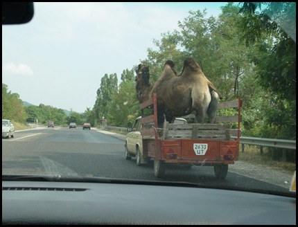 On The Road