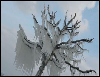 Winter In Versoix
