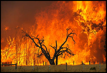 Black Saturday Bushfires