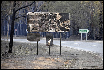 Black Saturday Bushfires