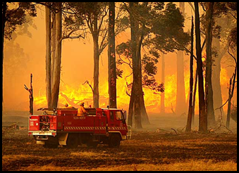 Black Saturday Bushfires