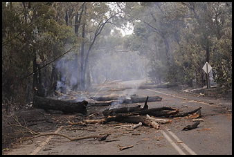 Black Saturday Bushfires