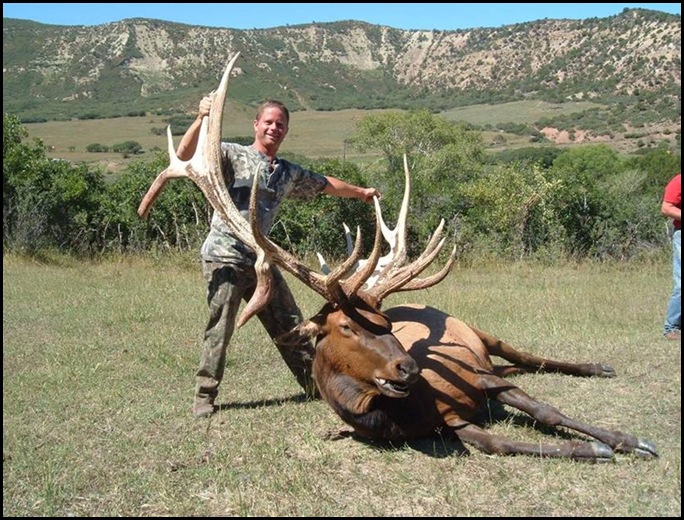 540 Class Elk Shot
