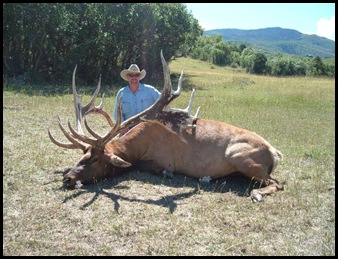 540 Class Elk Shot