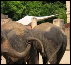 Reasons Not To Take Kids To The Zoo