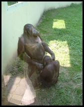 Reasons Not To Take Kids To The Zoo