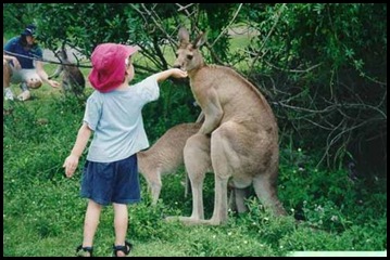 Reasons Not To Take Kids To The Zoo