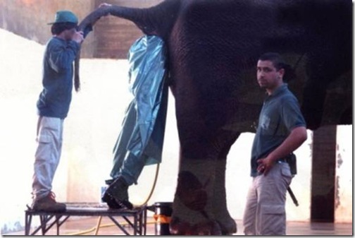 Bad Job