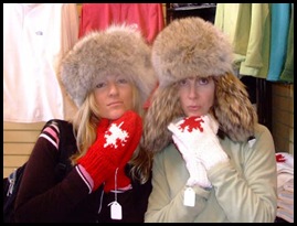 Snowy Owl dog-sled tours