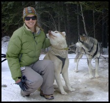Snowy Owl dog-sled tours