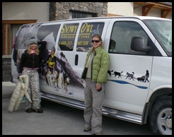 Snowy Owl dog-sled tours