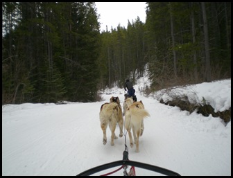 Cheryl pilots the sled after Carol and Greg's