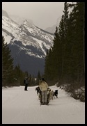 Cheryl driving with the Kananaskas Range in the background