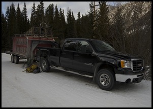 Snowy Owl dog-sled tours