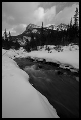 Goat Creek with the Kananaskas Range in the background