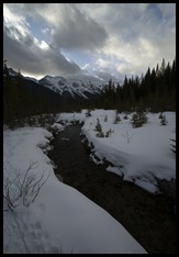 Goat Creek with the Sunshine Range in the background