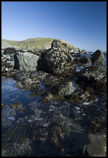 Tide pools at the end of the Estero
