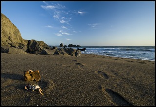 Estero de Americano sunset 