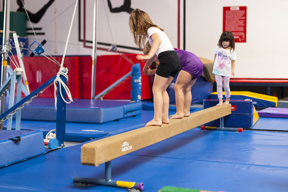Windsor Gymnastics The Pink Lemon Windsor Gymnastics The Pink Lemon