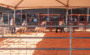 The 2025 HFFCF Fair