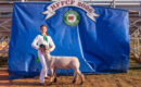 The 2026 HFFCF Fair