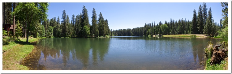 Lakemont Pines