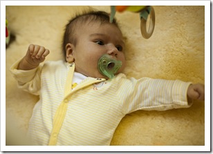 Awake time on the sheepskin