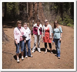The girls after a walk through Big Trees State Park