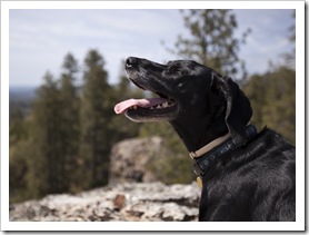 Ellie at Cougar Rock