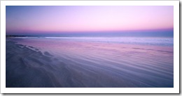 A hermit crab at Roebuck Bay