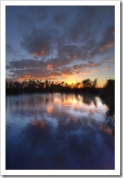 Sunrise at Dalhousie Springs