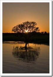 Sunset at Yellow Waters