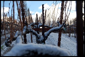 Alexander Mountain Snow