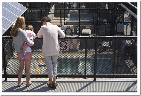 Lisa, Lilia and Jenni saying hello to the sea lions